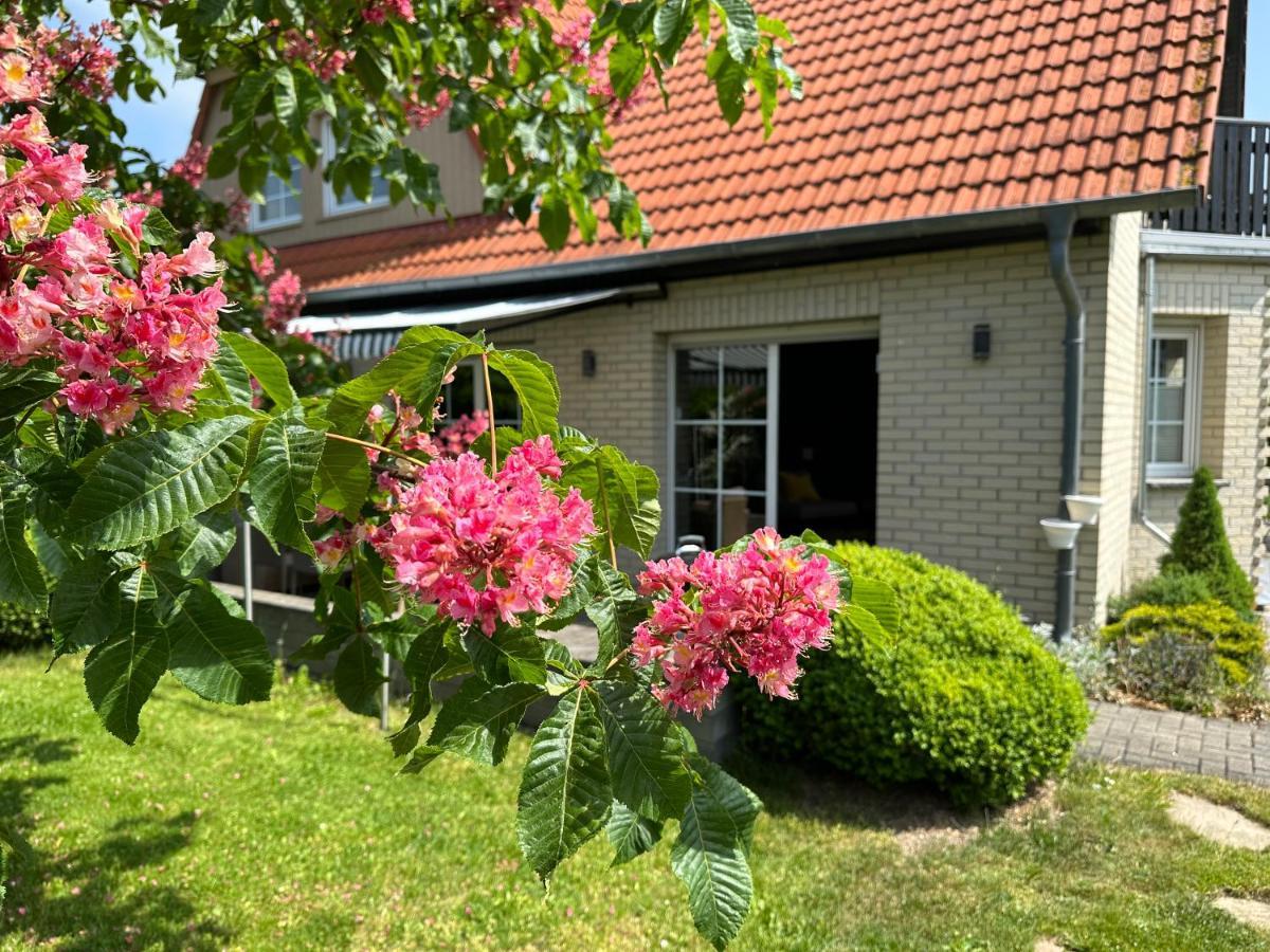 Familienurlaub Im Gruenen Leilighet Wernigerode Eksteriør bilde