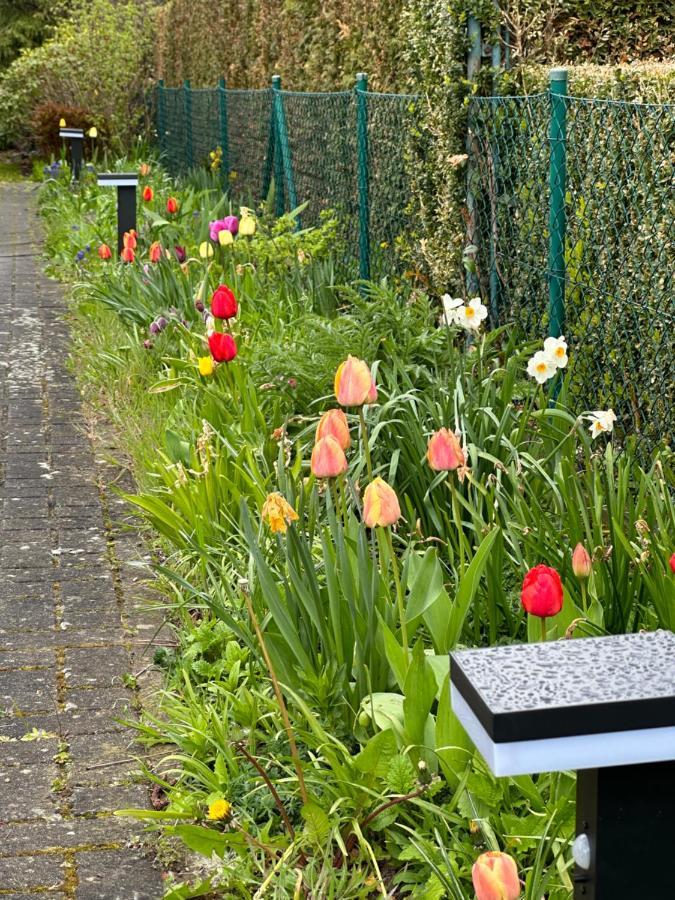 Familienurlaub Im Gruenen Leilighet Wernigerode Eksteriør bilde